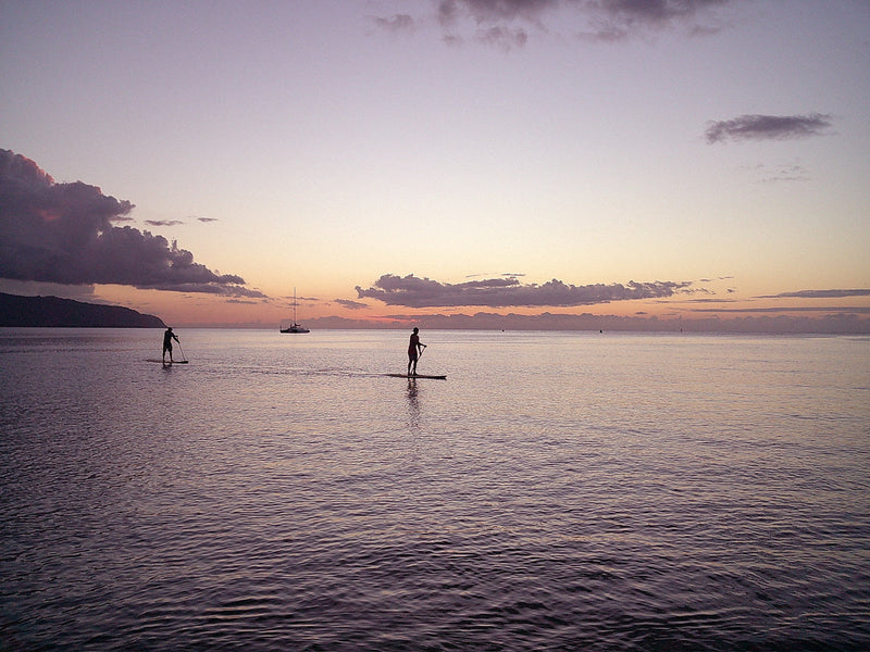 Rosebyte - Undisclosed Island